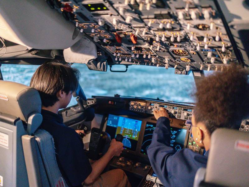 Flight steps deals